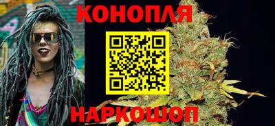 трава Кингисепп