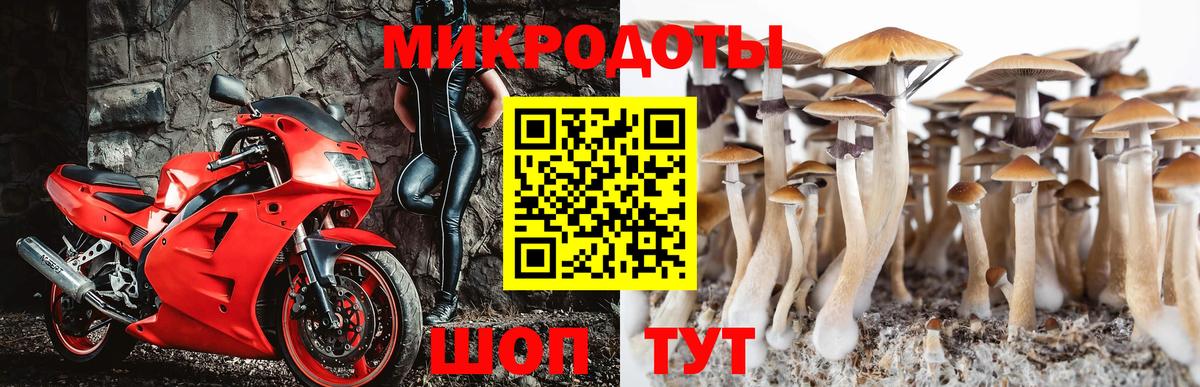 Галлюциногенные грибы мухоморы  Вход с VPN  Электрогорск 