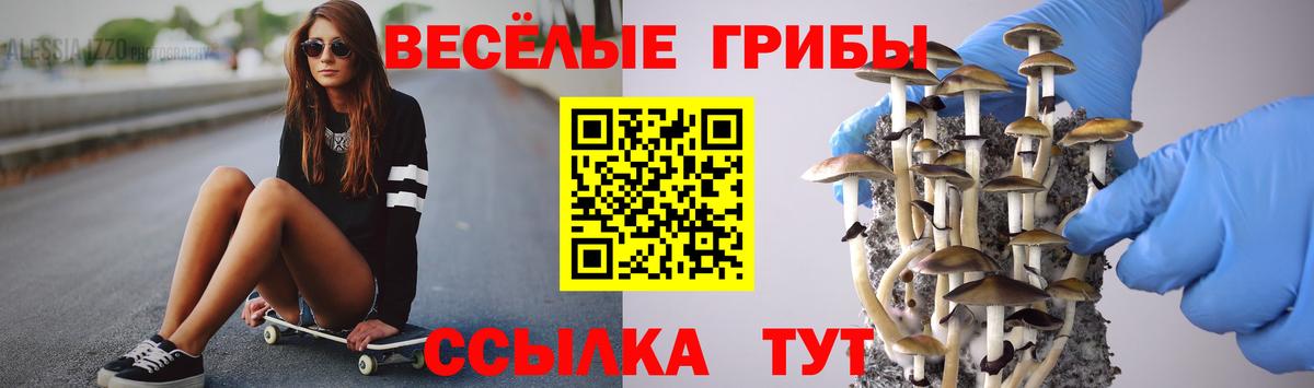 Псилоцибиновые грибы мухоморы Электрогорск